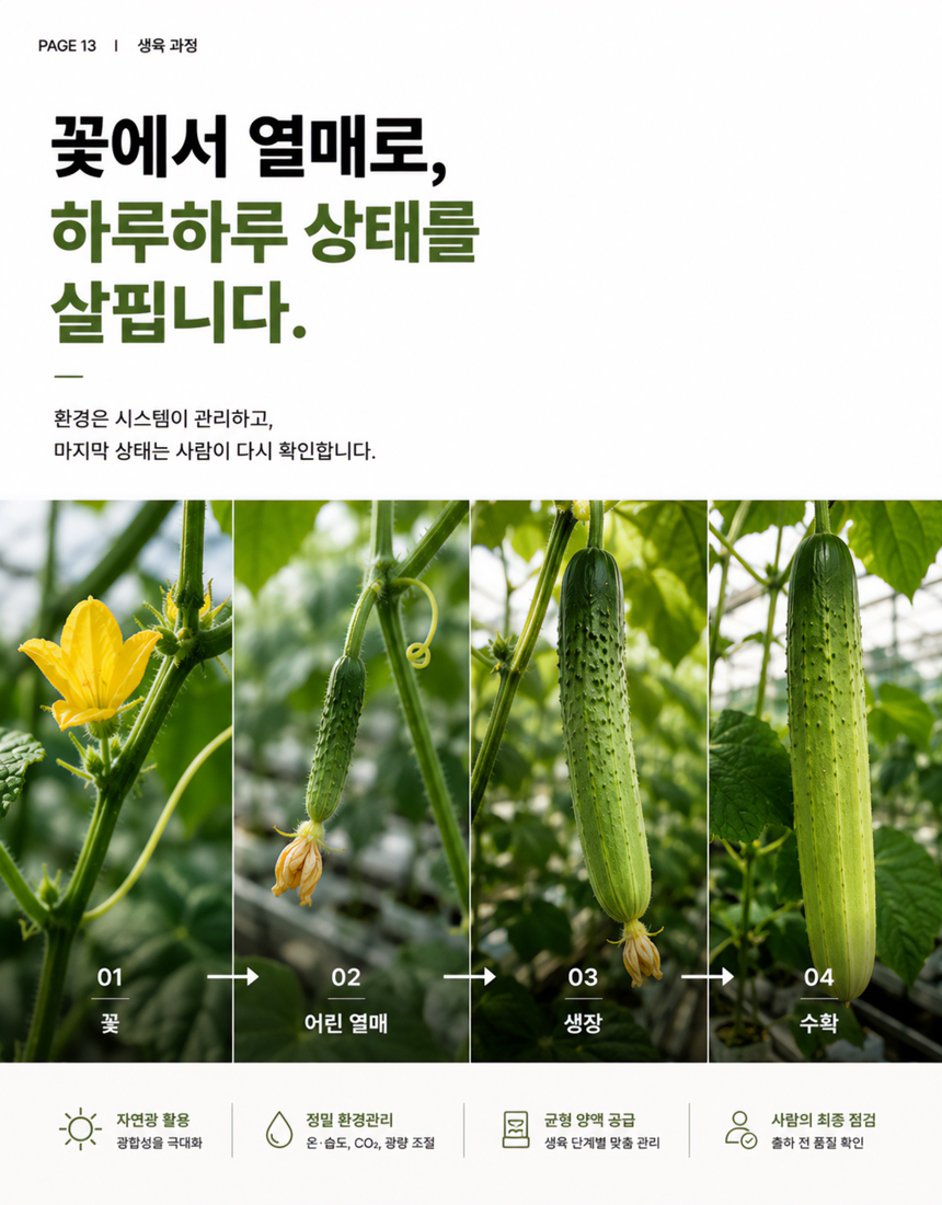 동김제농협 오이2Kg 13.jpg